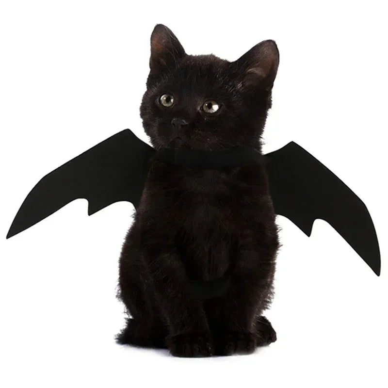 PawBat™ Cosplay – Black Bat Wings Pet Costume for Halloween Parties