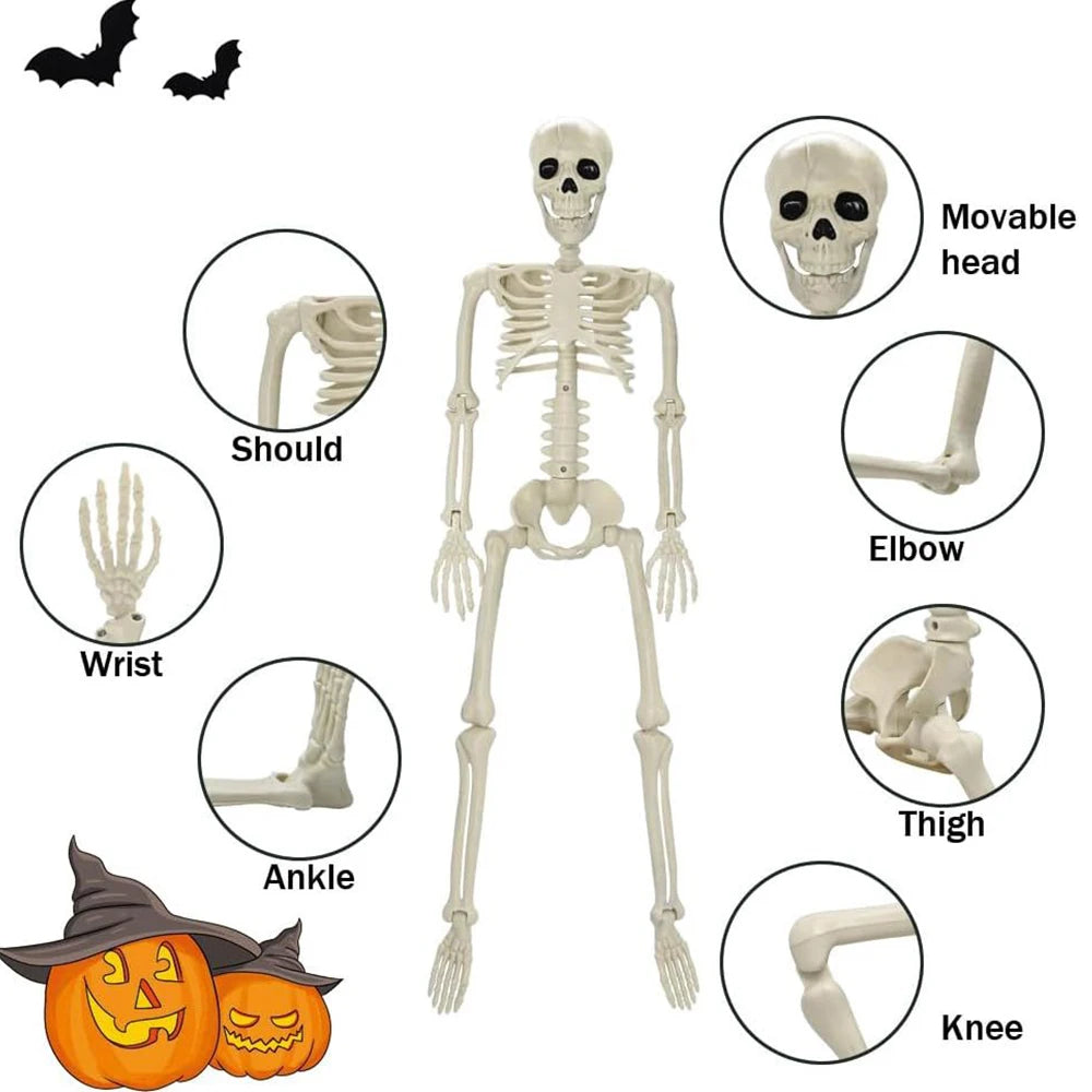 SpineChiller™ – 40cm Posable Human Skeleton Halloween Decoration
