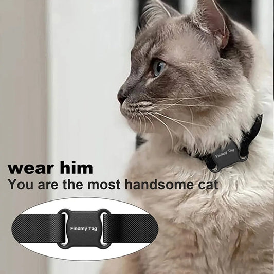 Dog wearing PawTrack™ smart GPS pet tracker collar with LED light