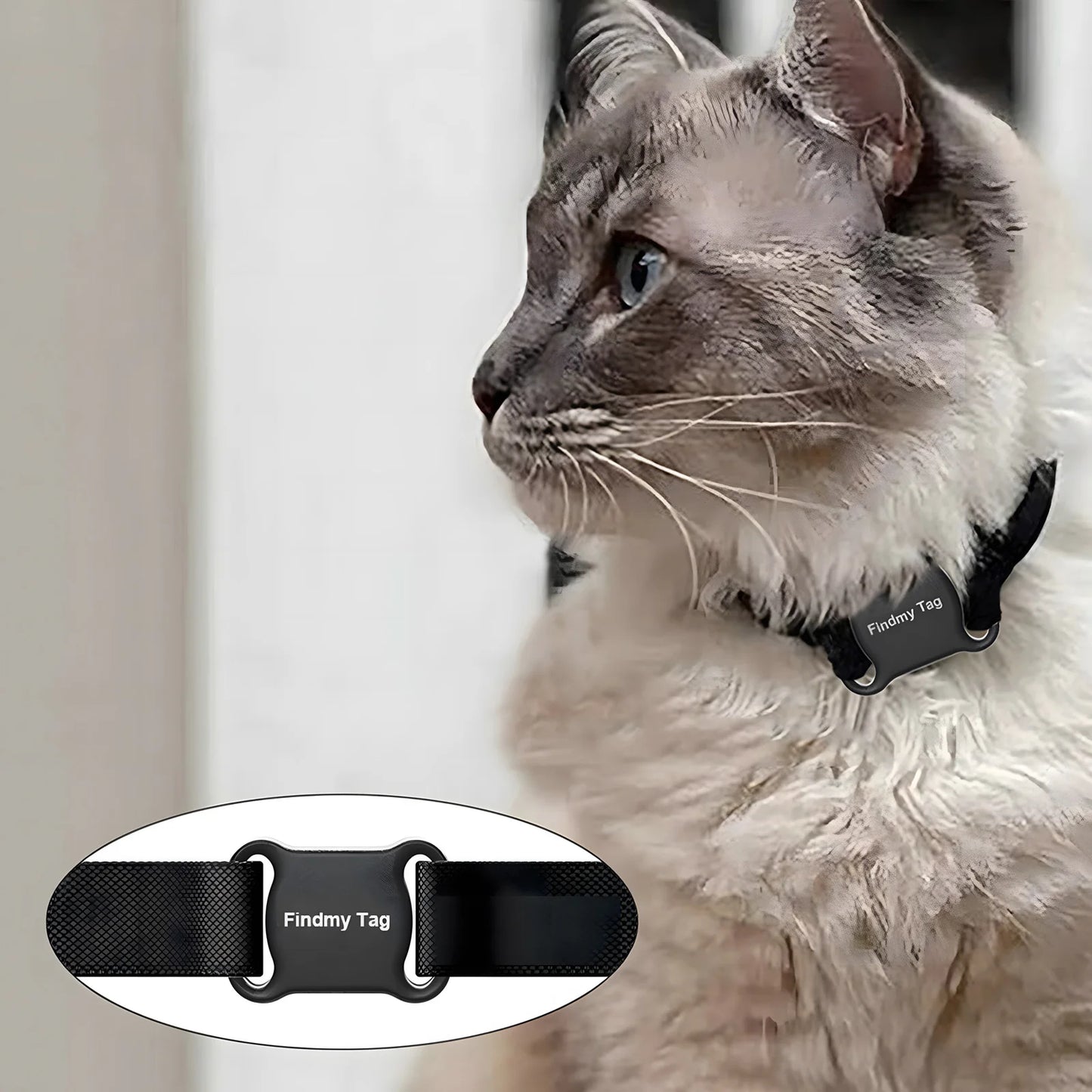 PawTrack™ – Smart GPS & Bluetooth Pet Tracker Collar