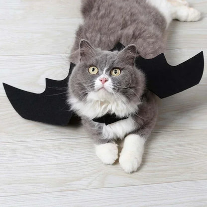 PawBat™ Cosplay – Black Bat Wings Pet Costume for Halloween Parties