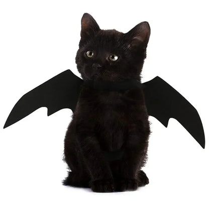 PawBat™ Cosplay – Black Bat Wings Pet Costume for Halloween Parties