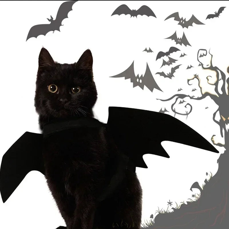 PawBat™ Cosplay – Black Bat Wings Pet Costume for Halloween Parties