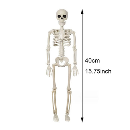 SpineChiller™ – 40cm Posable Human Skeleton Halloween Decoration